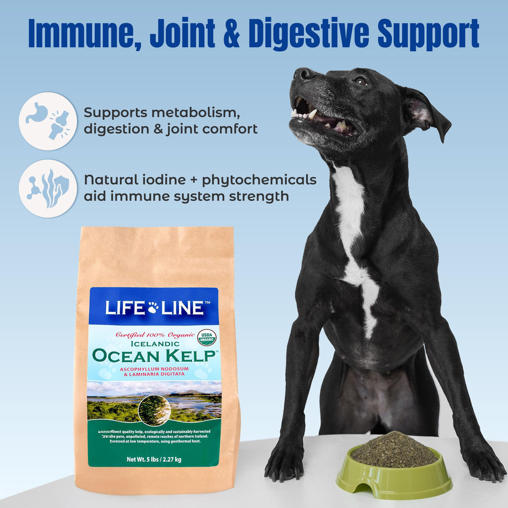 Life Line Ocean Kelp certifiée biologique et traçabilité USDA.