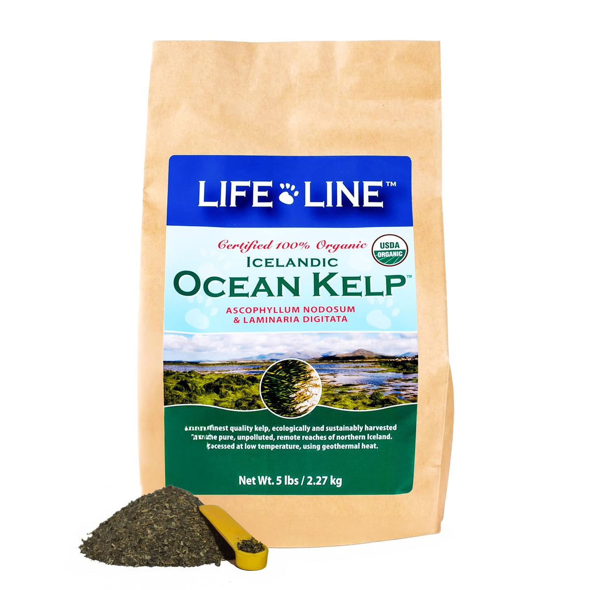 Life Line Ocean Kelp en poudre pour pelage sain et peau nourrie.