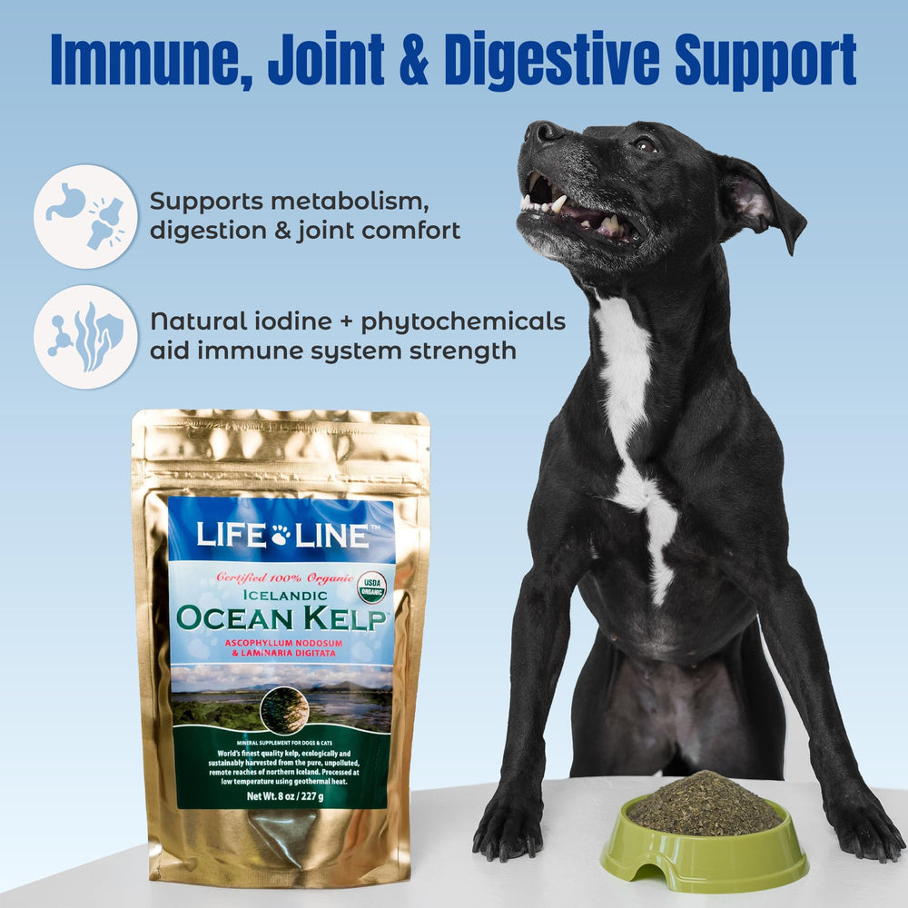 Life Line Organic Ocean Kelp, minéraux et Oméga-3 essentiels pour les animaux