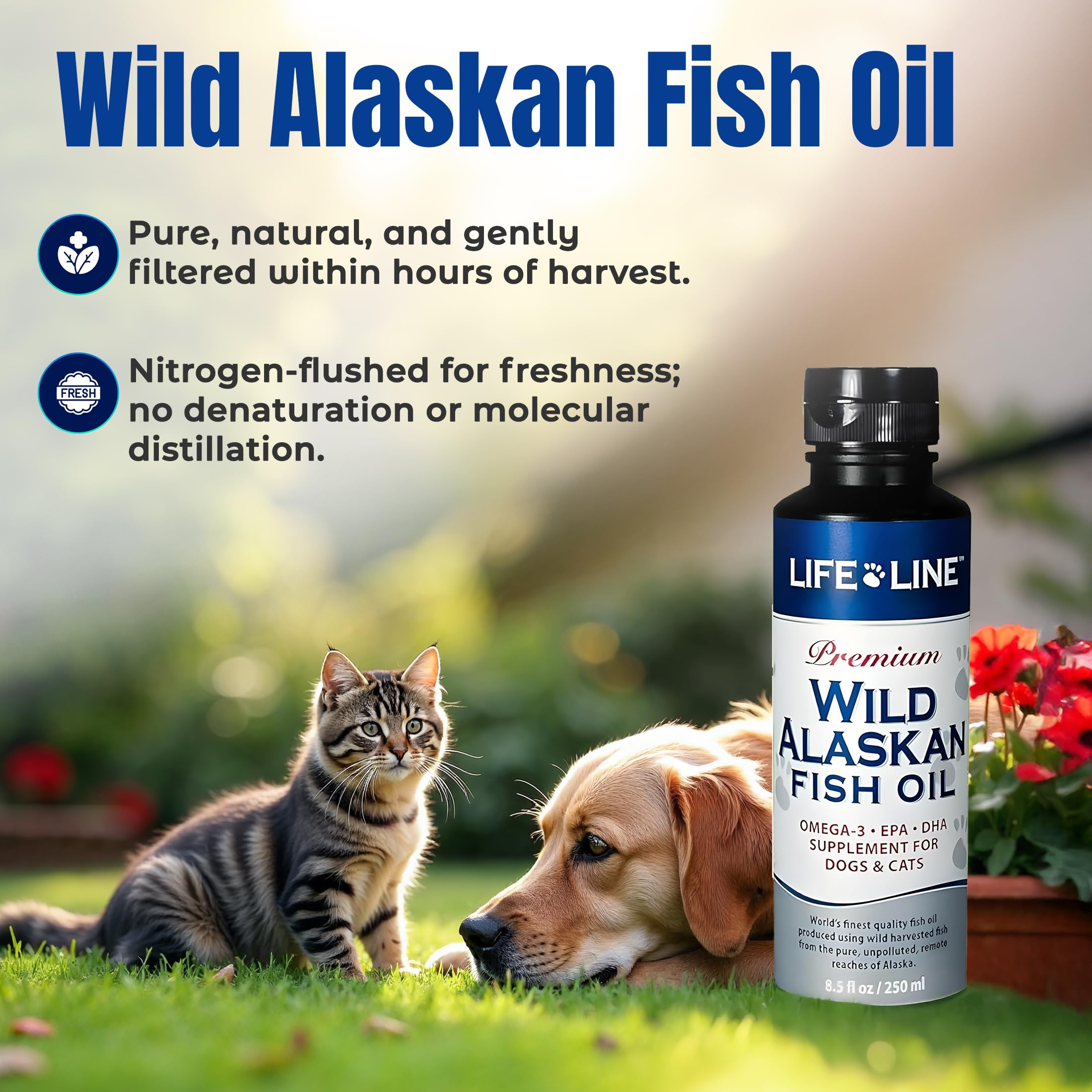 Life Line Pet Nutrition doseur sans odeur facilite l'administration quotidienne.