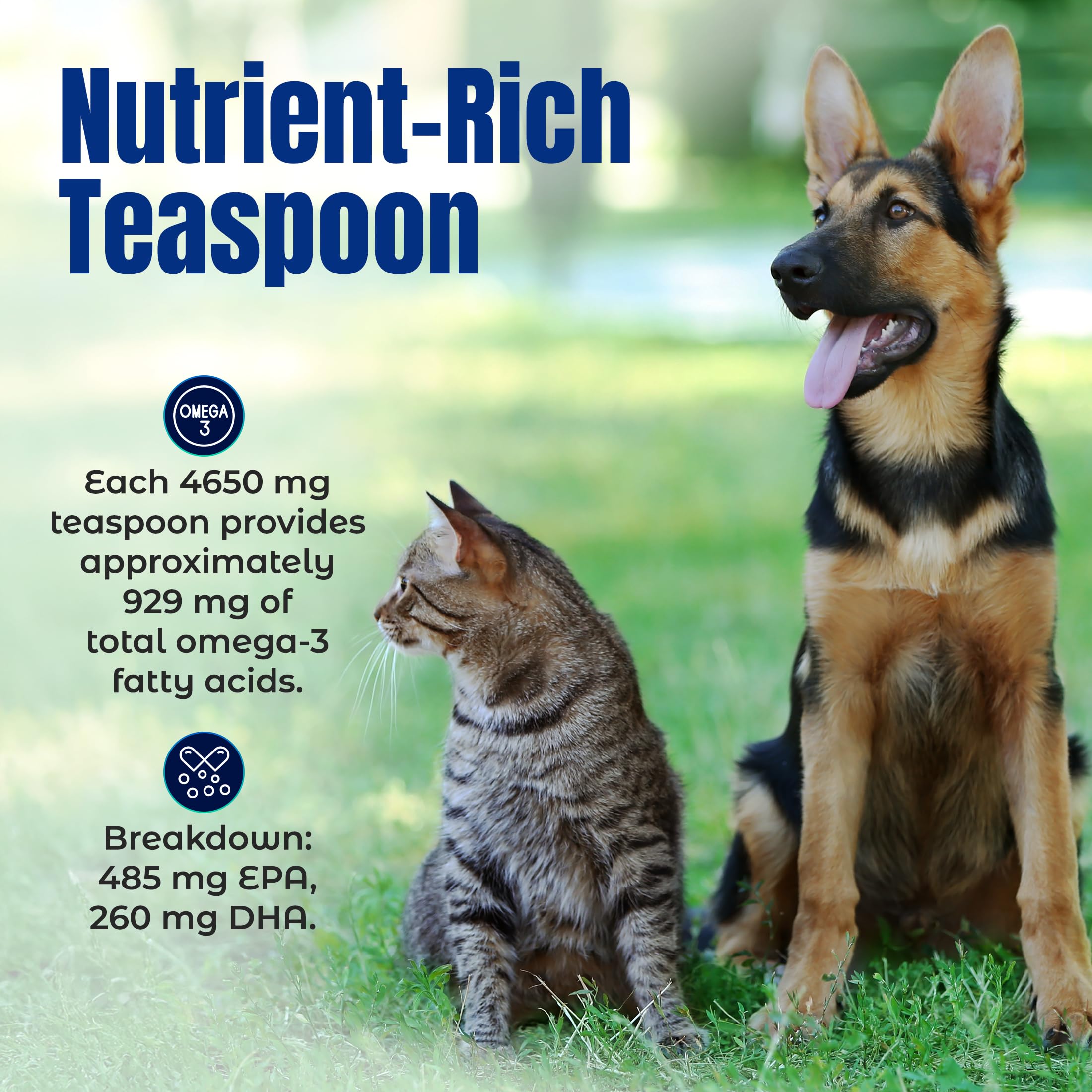 Life Line Pet Nutrition soutient le cœur et l'énergie de votre animal.