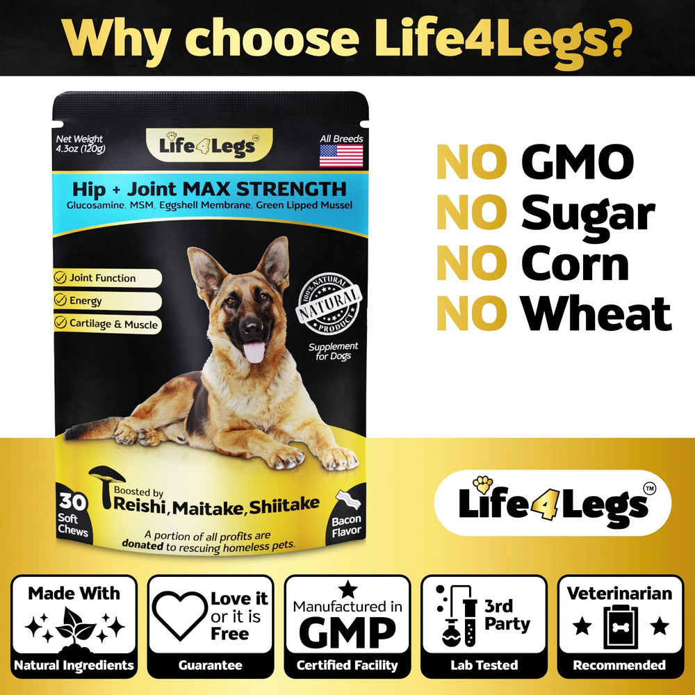 Life4Legs omega-acide-hyaluronique articulations, lubrification et flexibilité potentielles.