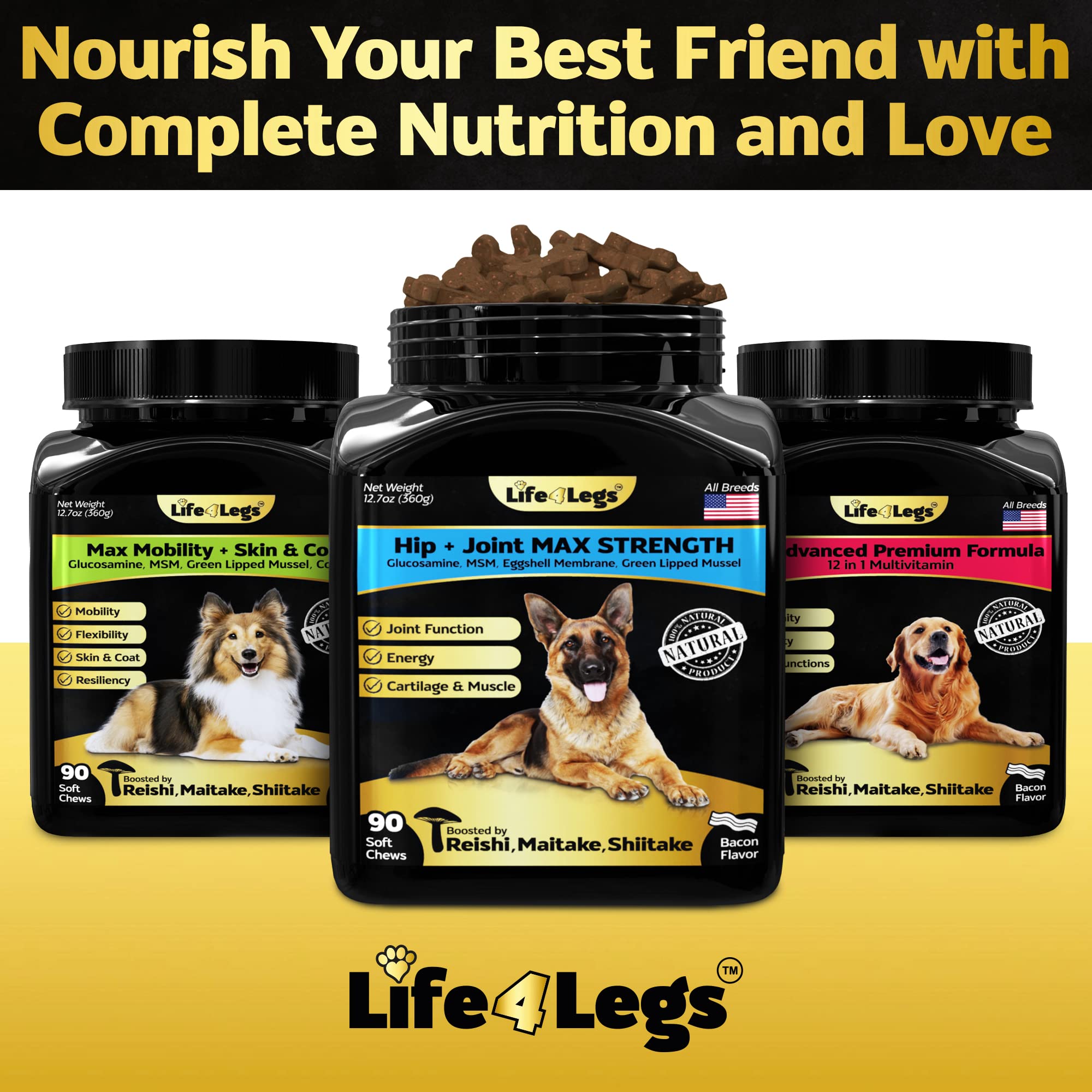 Life4Legs: utilisation quotidienne pour chiens de toutes tailles.