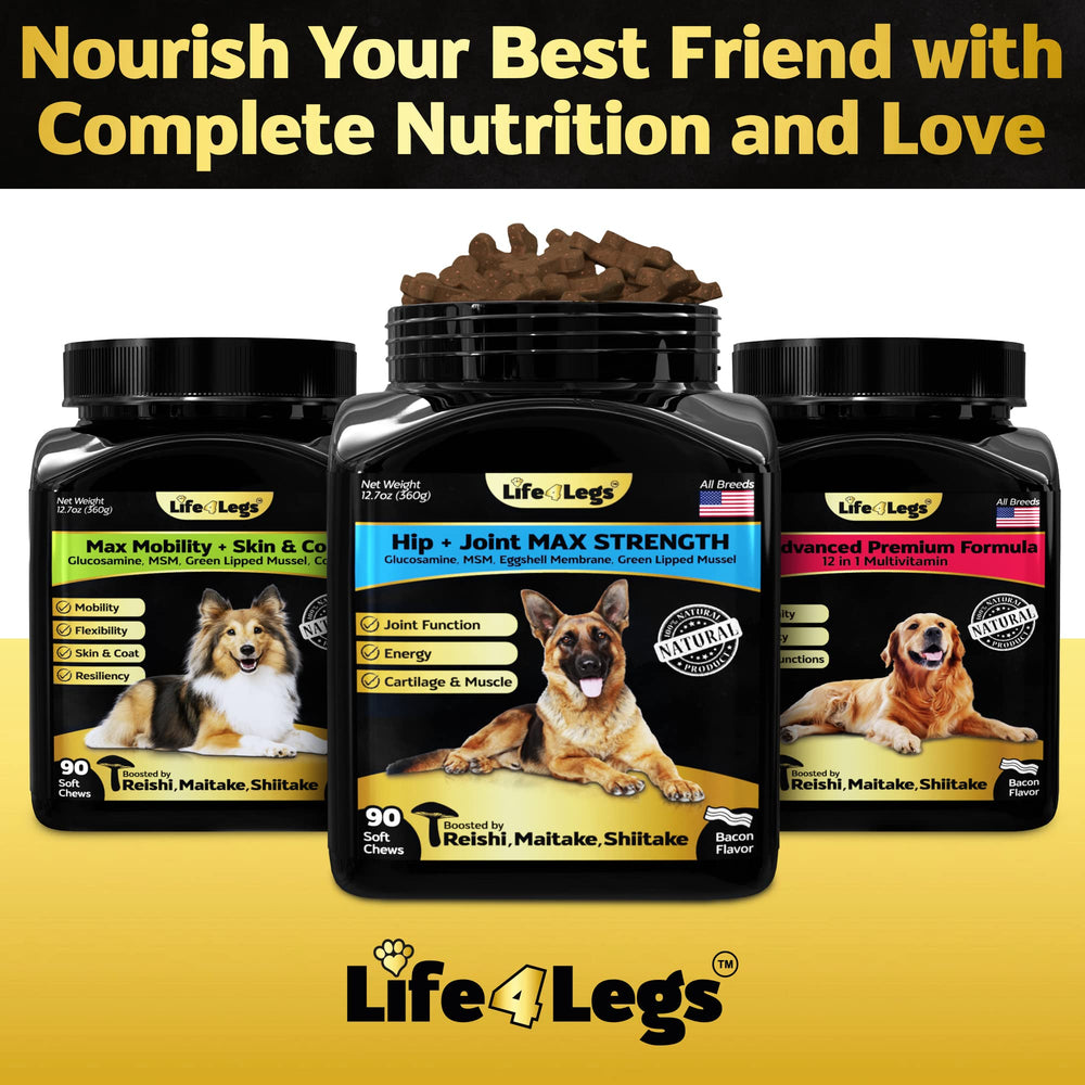 Life4Legs: utilisation quotidienne pour chiens de toutes tailles.