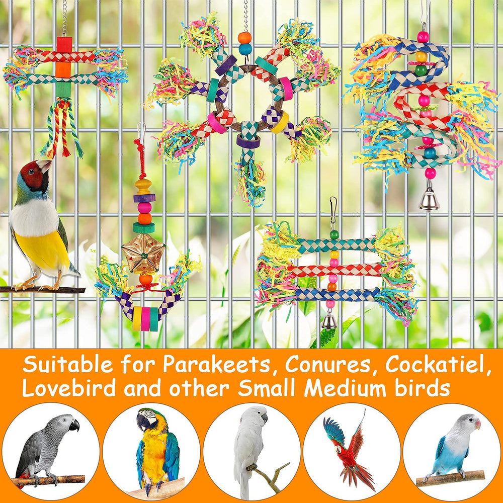 LifeIdeas à accrocher sur cage : accessoire attrayant et pratique.