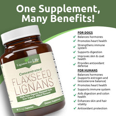 Lignans For Life : capsules pour adultes, utilisation quotidienne pratique.
