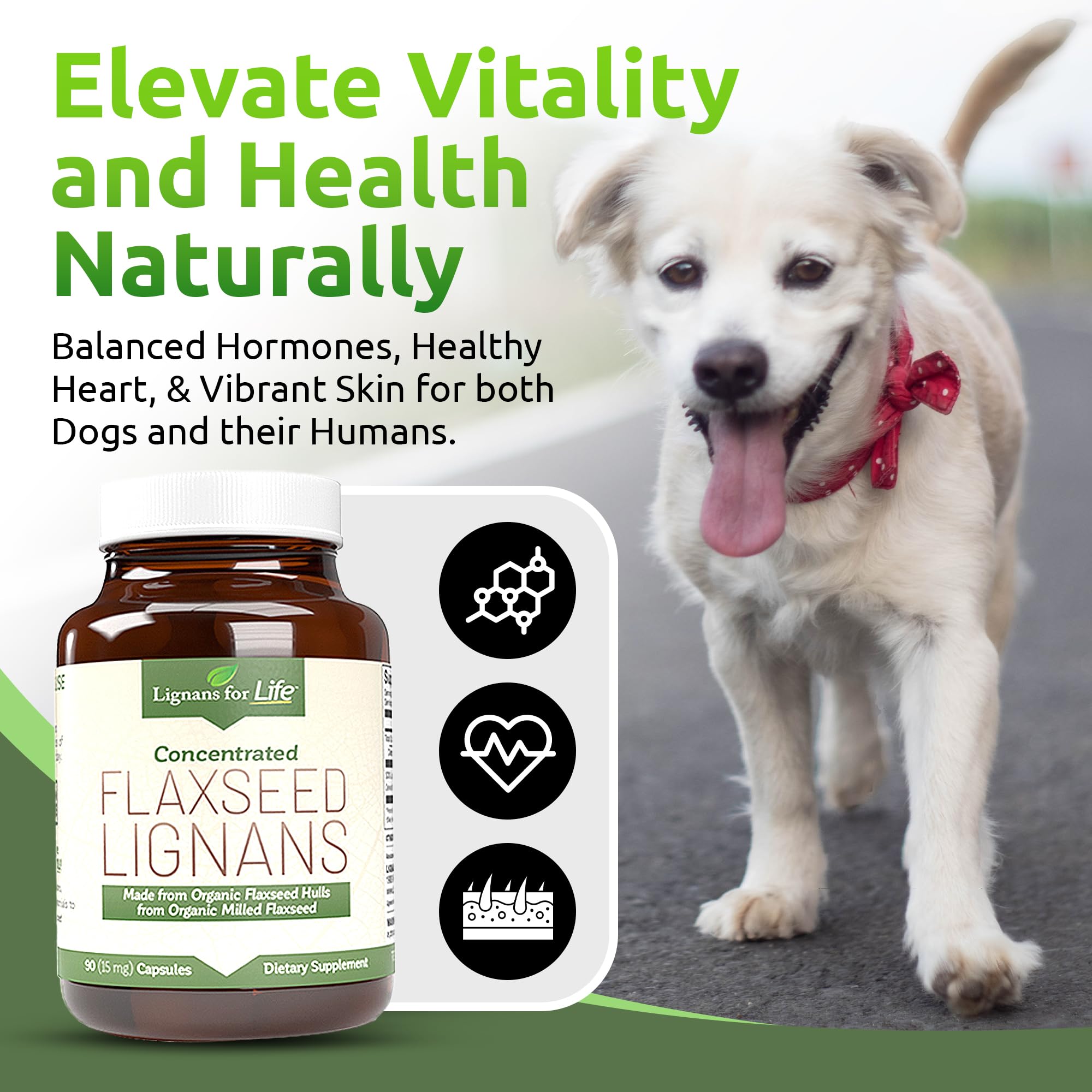 Lignans For Life : chien et propriétaire utilisant les capsules.