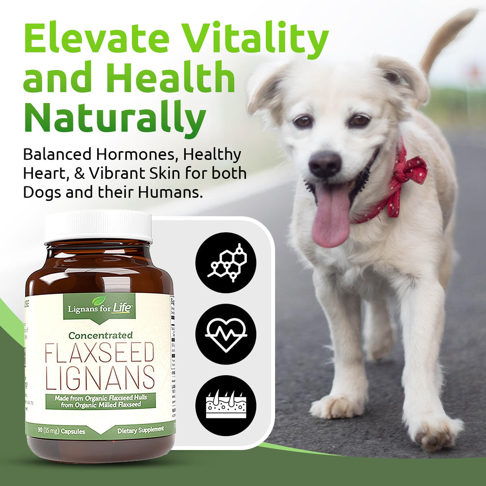 Lignans For Life : chien et propriétaire utilisant les capsules.
