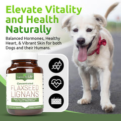 Lignans For Life : chien et propriétaire utilisant les capsules.