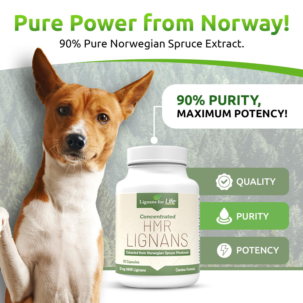Lignans For Life : capsules 10 mg, pelage brillant et peau saine chez le chien.