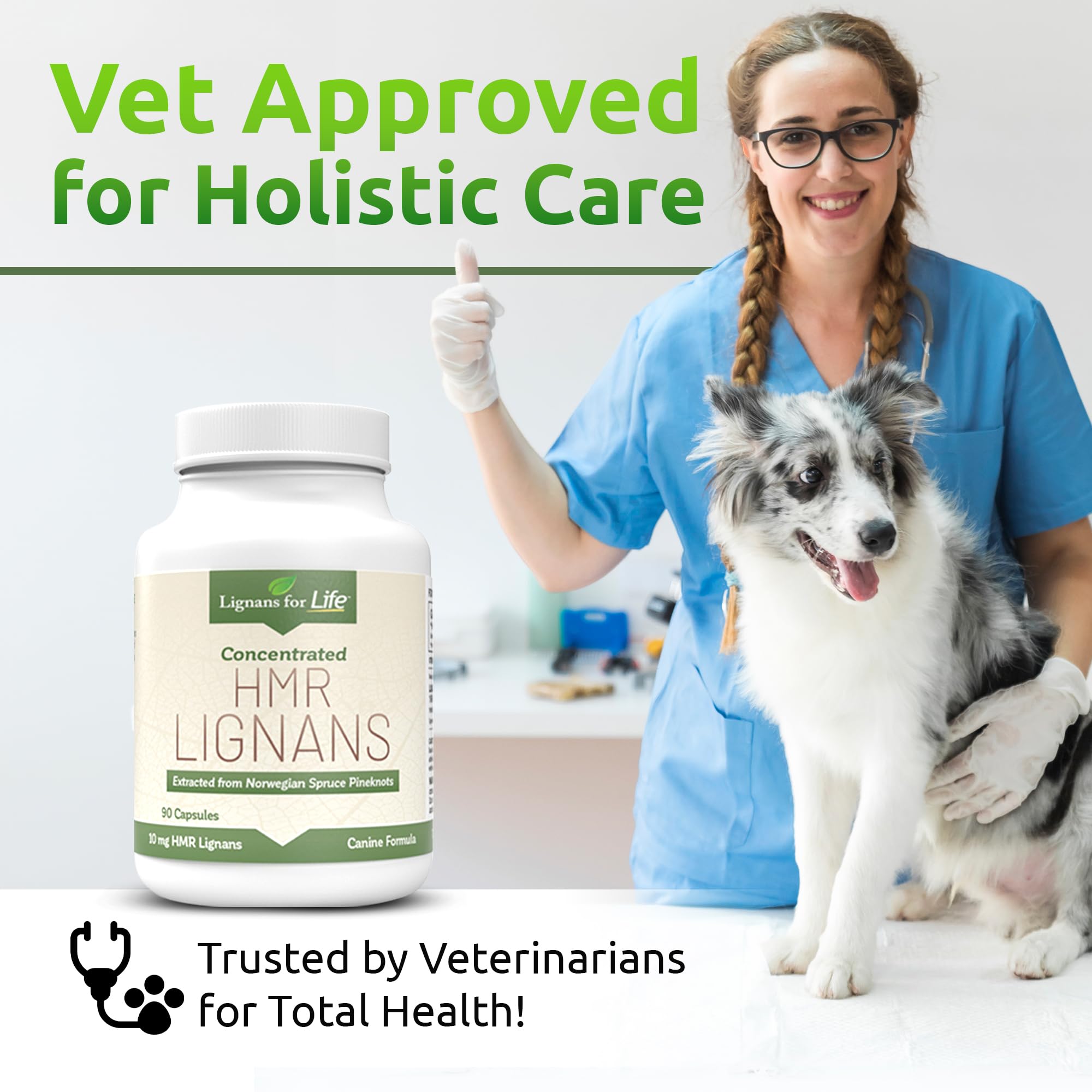 Lignans For Life : capsules 10 mg, utilisation quotidienne pratique pour chien.