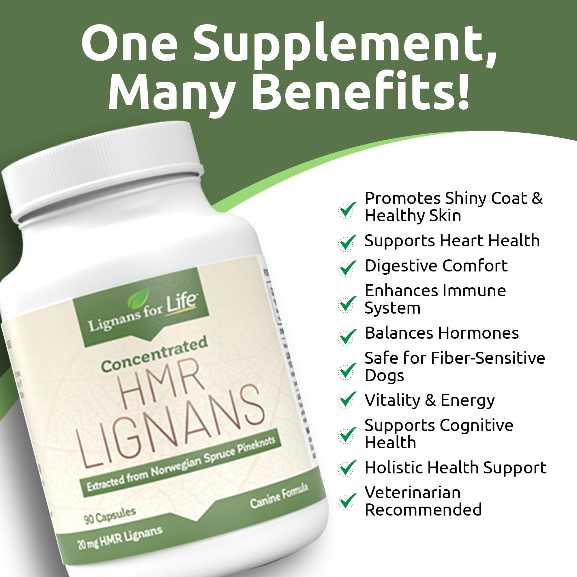 Lignans For Life : chien actif, soutien potentiel cardio-digestion.