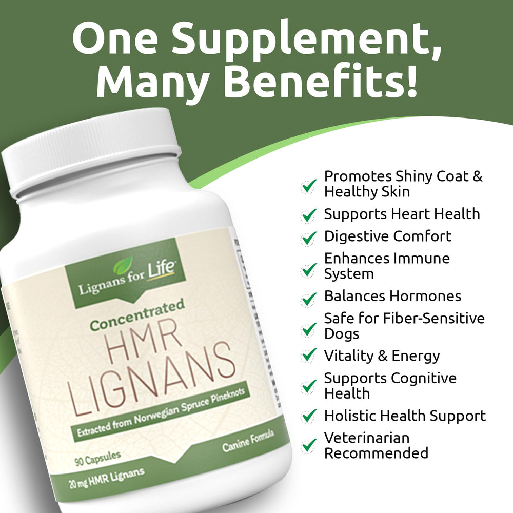 Lignans For Life : chien actif, soutien potentiel cardio-digestion.