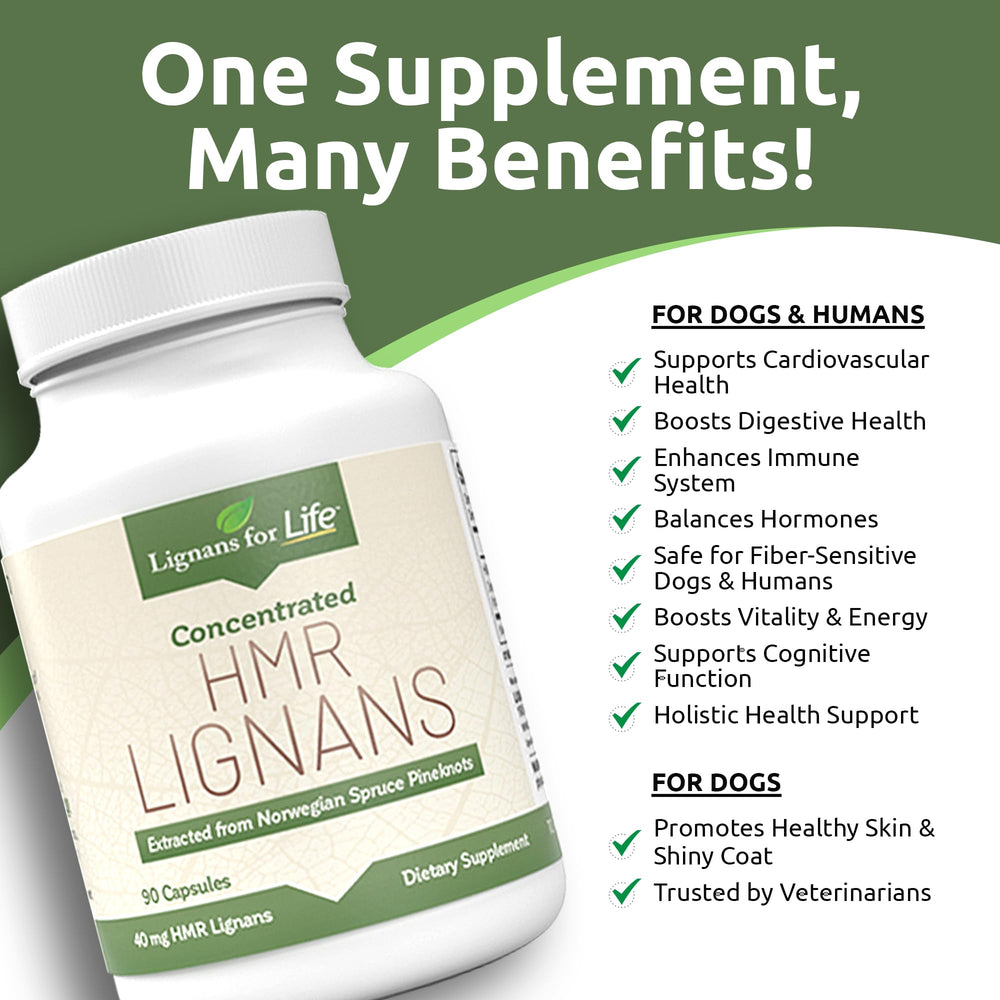 Lignans For Life : recommandé par vétérinaires pour la santé canine.