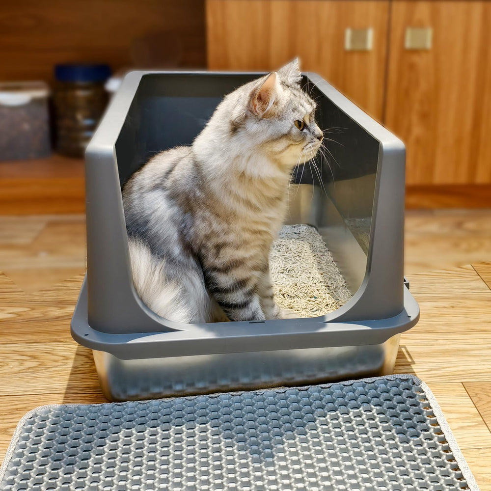 Lihong litiere ideale pour plusieurs chats et grands félins