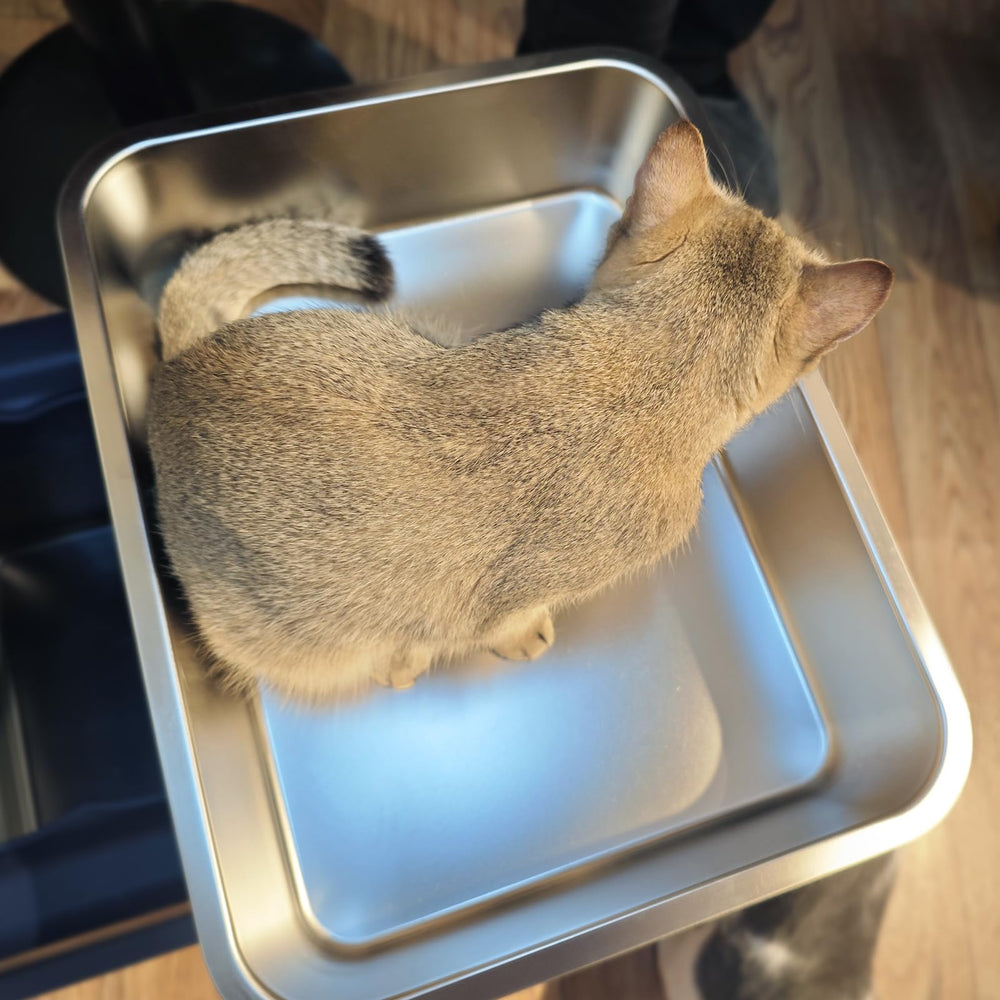 LIHONG litière chat inox anti rayures, longue durée d’utilisation