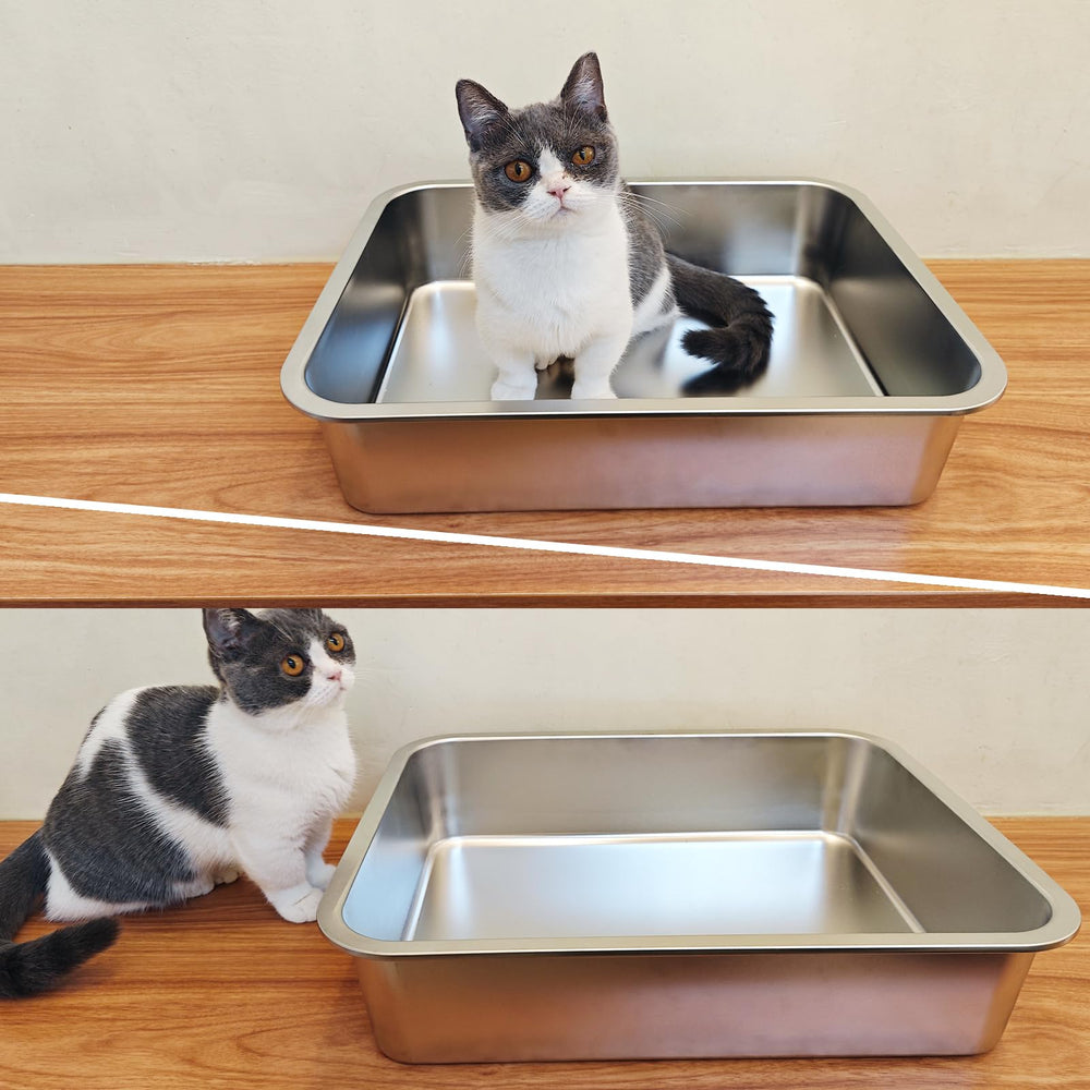 LIHONG litière chat inox nettoyage facile, surface lisse et non adhérente