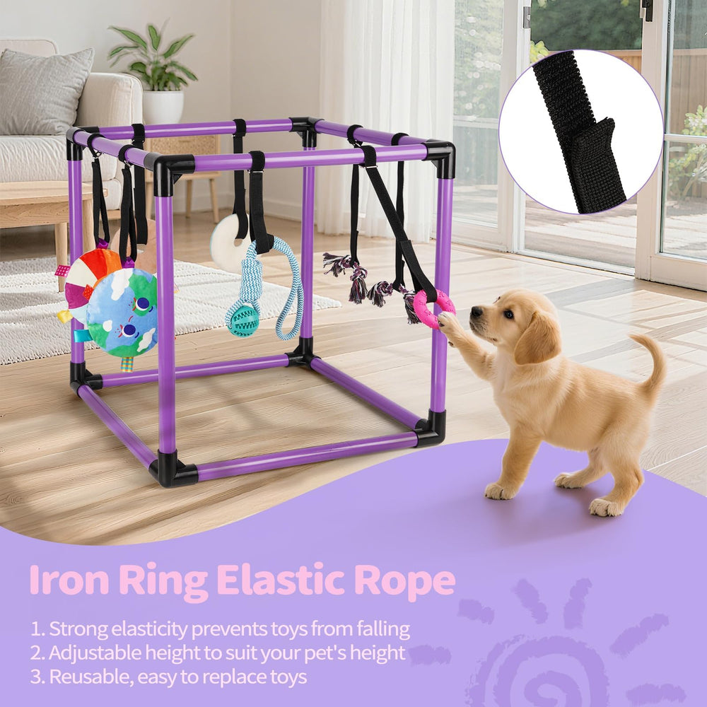 Hauteur ajustable par élastique Liitrton pour chiot