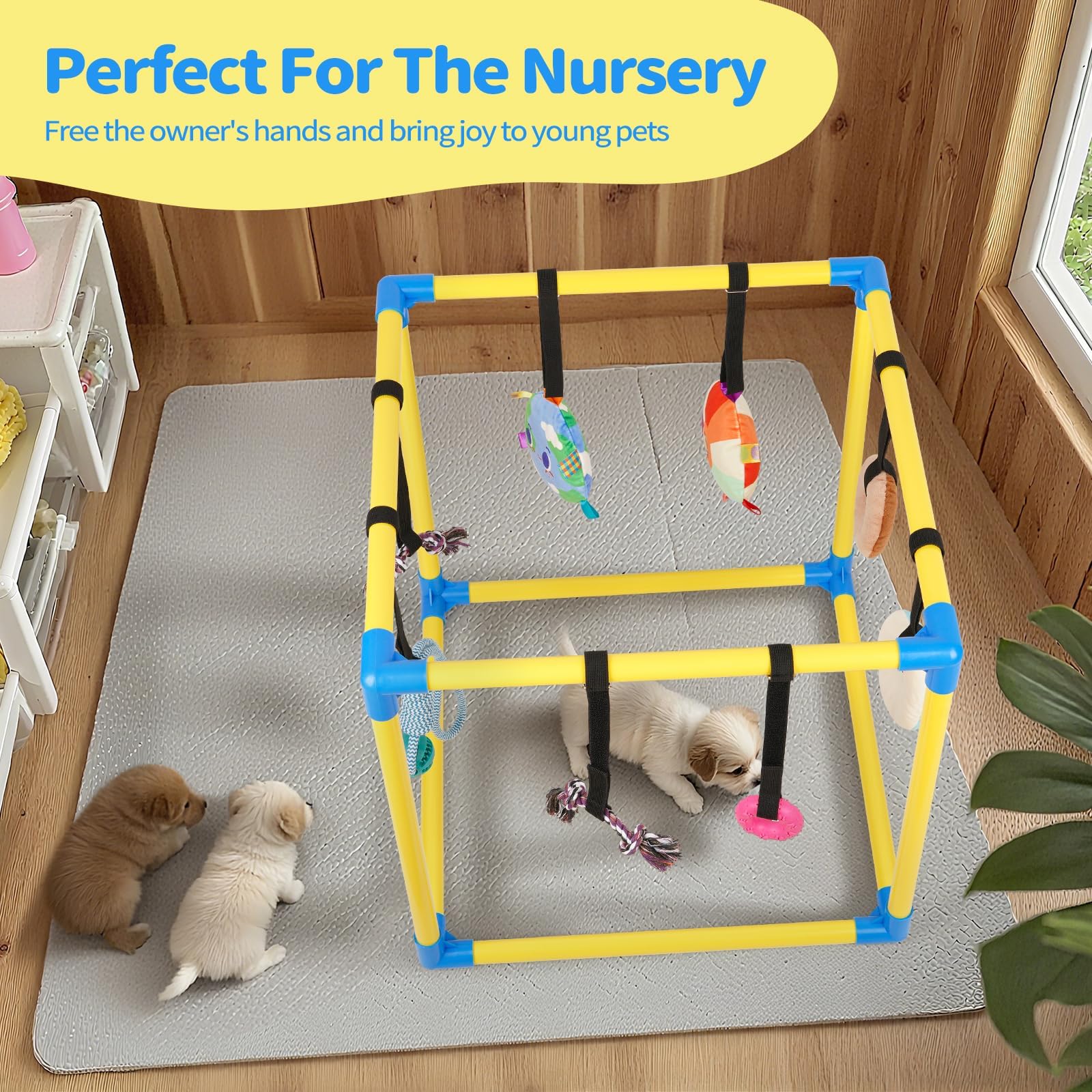 Liitrton jouets enrichissement mental chien, stimulation cognitive quotidienne.