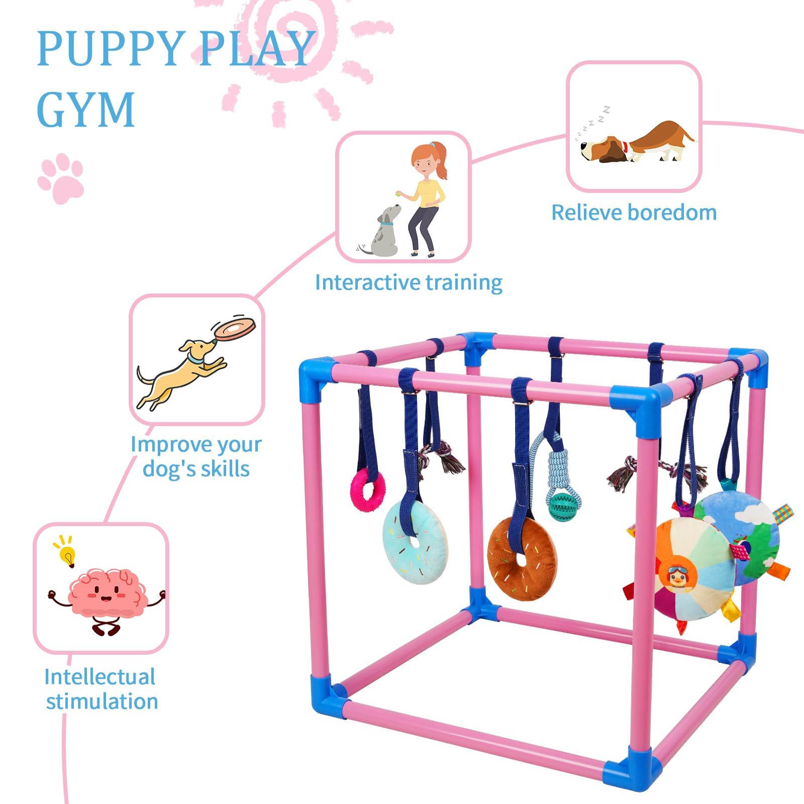 Conçu pour chiots 0 6 mois; taille adaptée et sécurité.