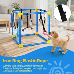 Liitrton Puppy Play Gym, montage facile sans outils, rangement pratique