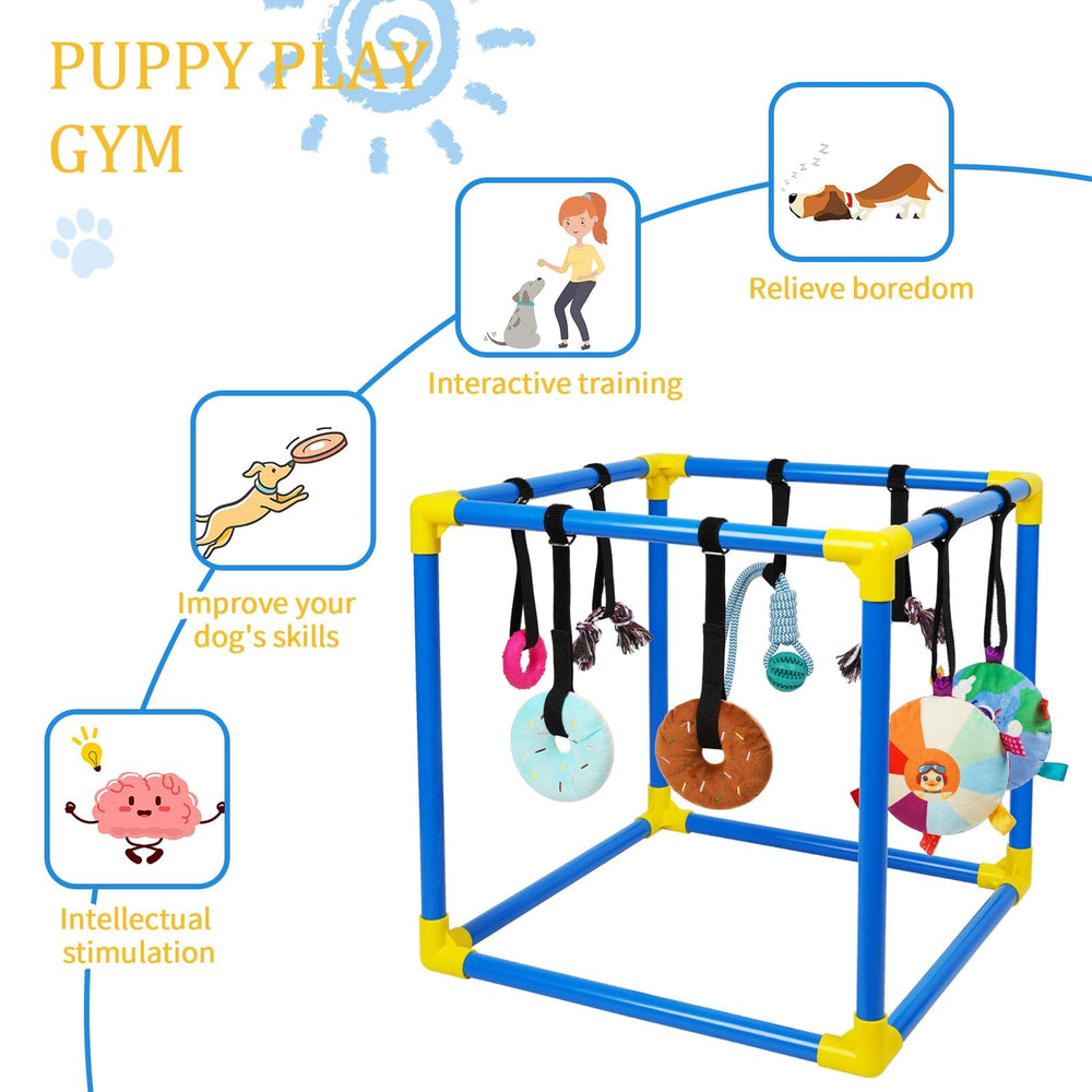 Liitrton Puppy Play Gym favorise l'interaction ludique et apaise l’anxiété de séparation