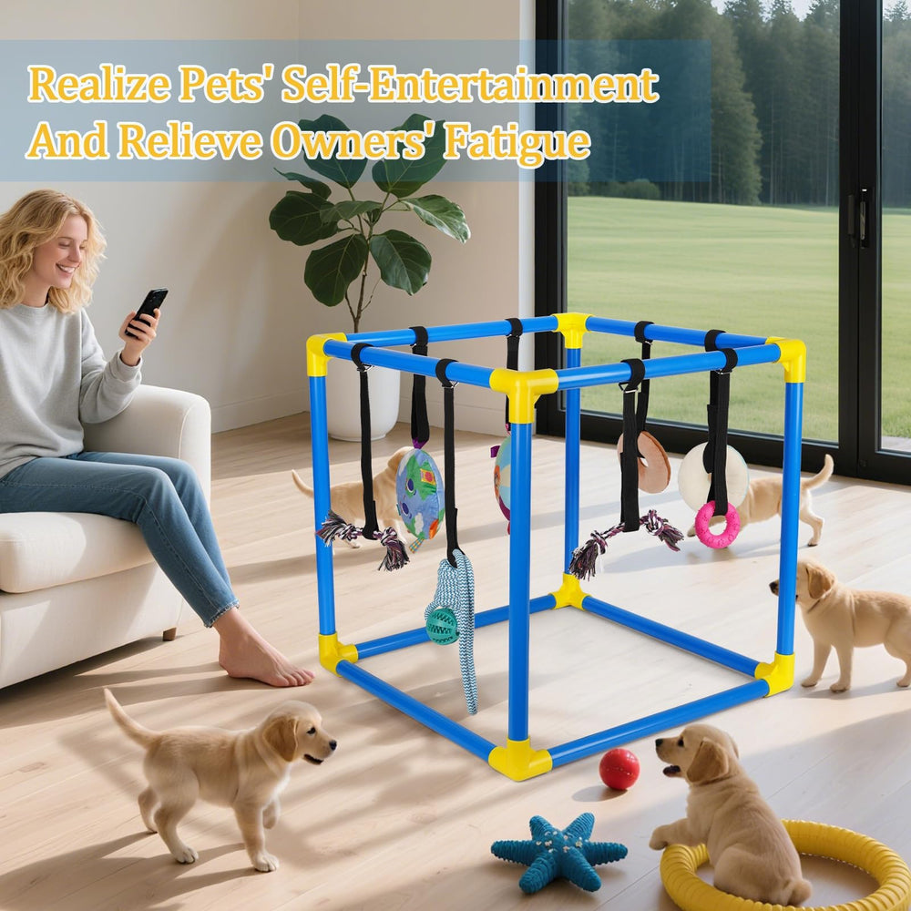 Liitrton Gym pour chiots: parfait pour un espace intérieur sans encombrement