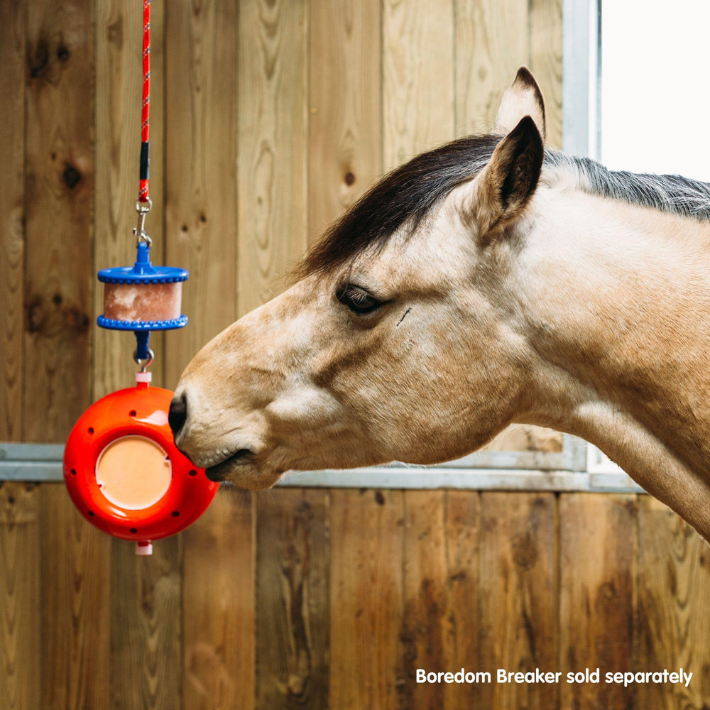 Likit Petits Likits – recharge compatible avec accessoires
