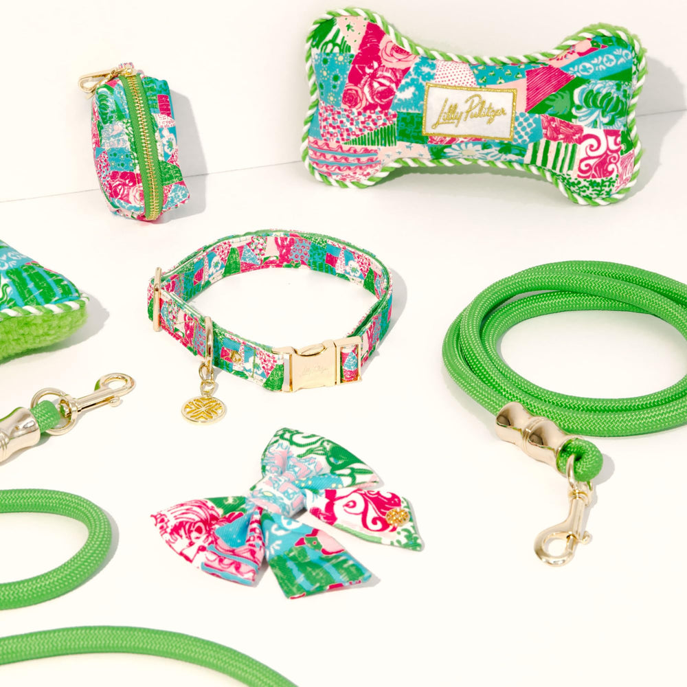 Lilly Pulitzer longe pour chien avec pompon imprimé Crazy Quilt Home, touche colorée