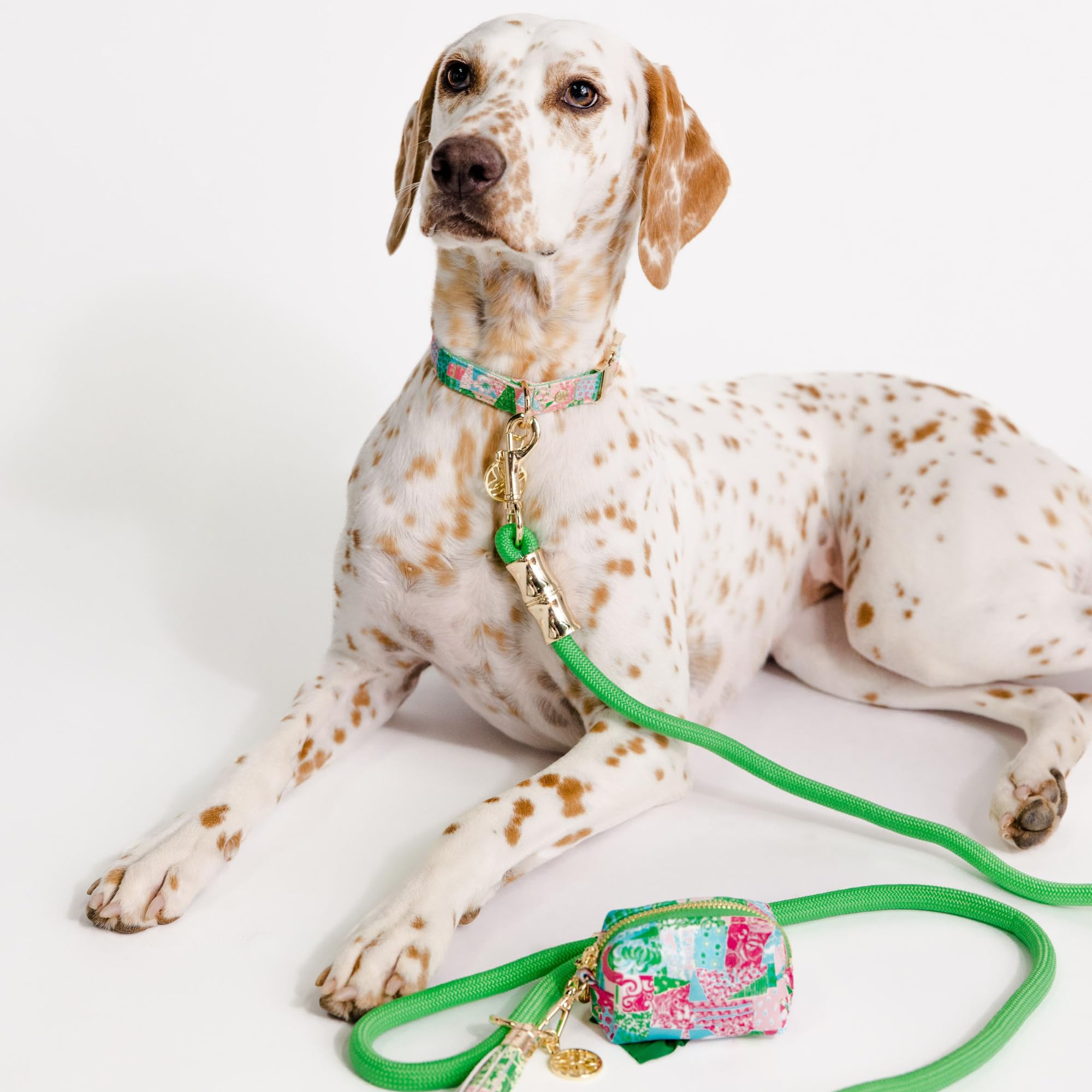 Lilly Pulitzer longe pour chien idéale pour les promenades quotidiennes