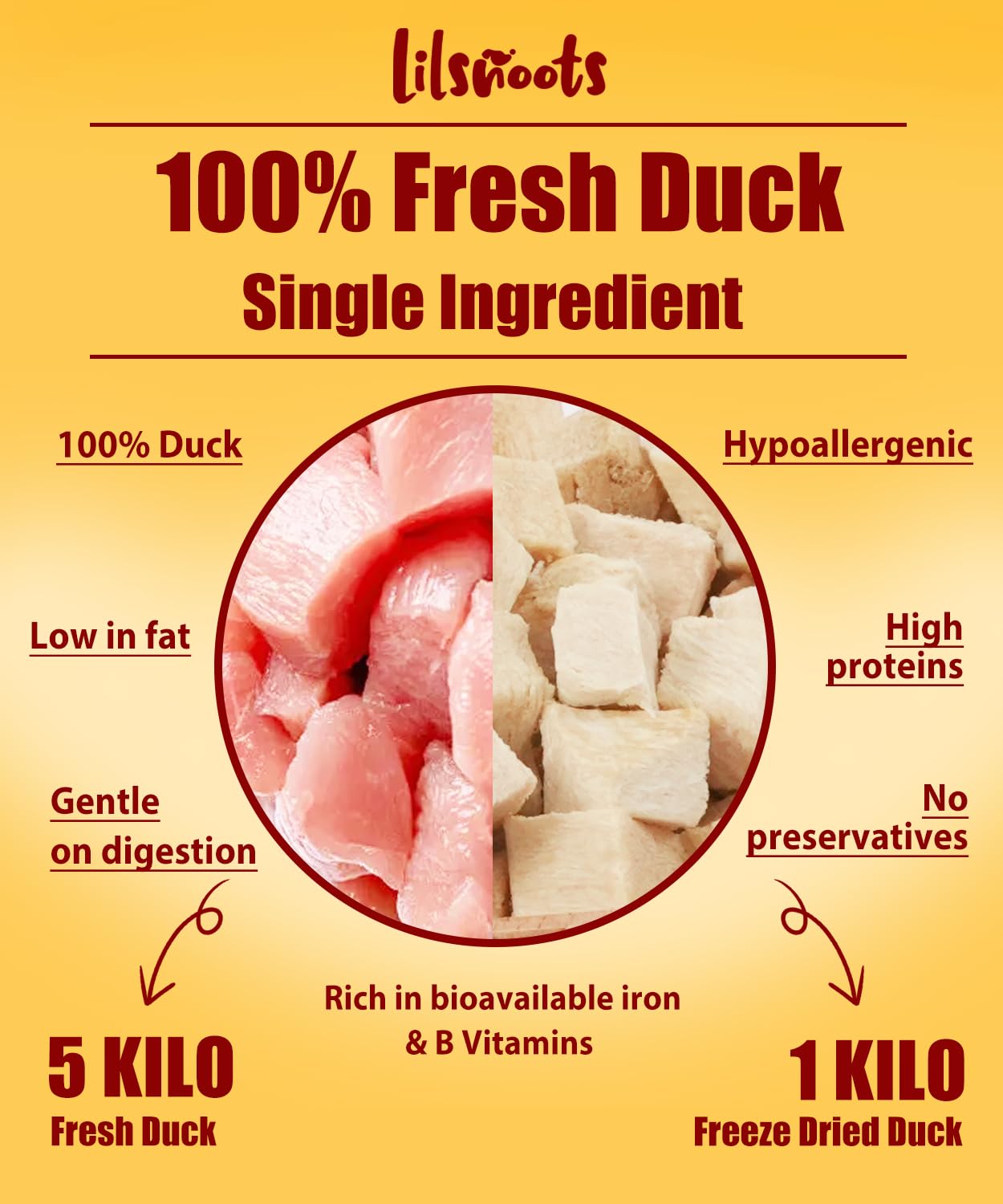 Canard lyophilise LILSNOOTS sans additifs, friandise sûre
