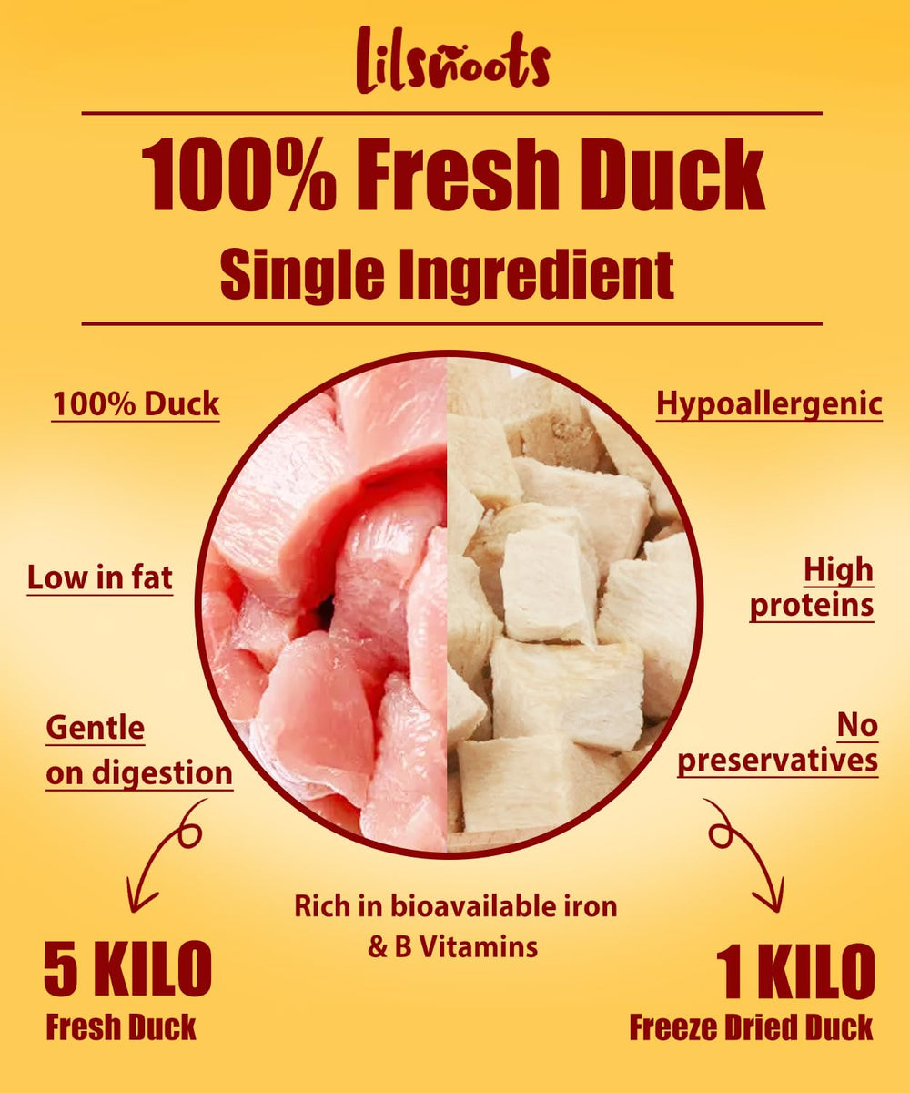 Canard lyophilise LILSNOOTS sans additifs, friandise sûre