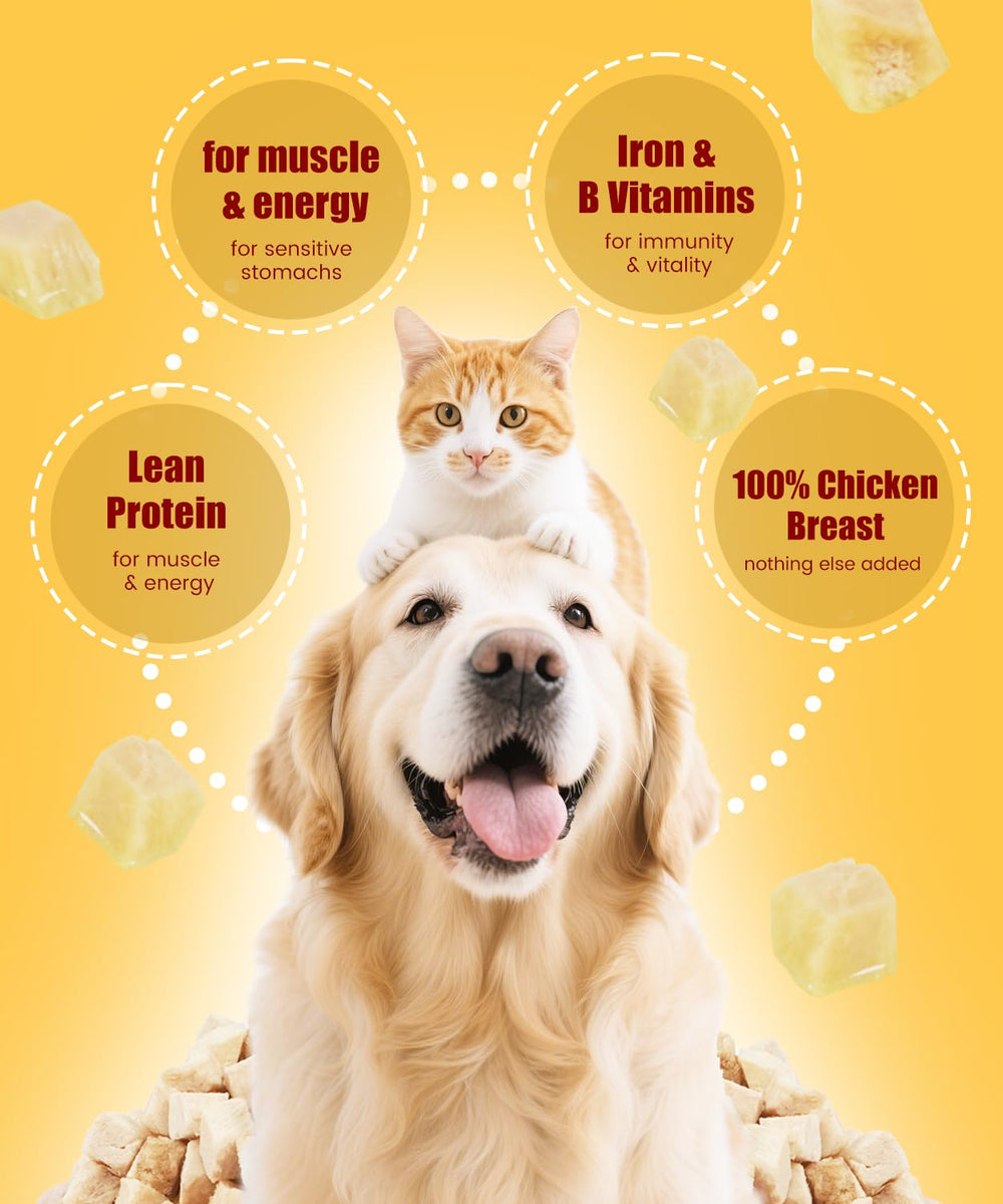 Produit naturel LILSNOOTS, poulet lyophilisé sans conservateurs pour régime sensible.