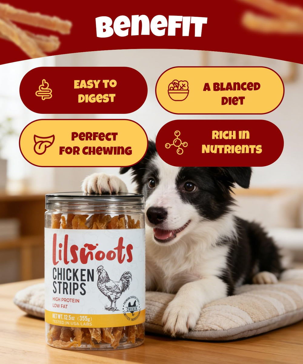 Récompense d’entraînement LILSNOOTS pour chiens, goût naturel