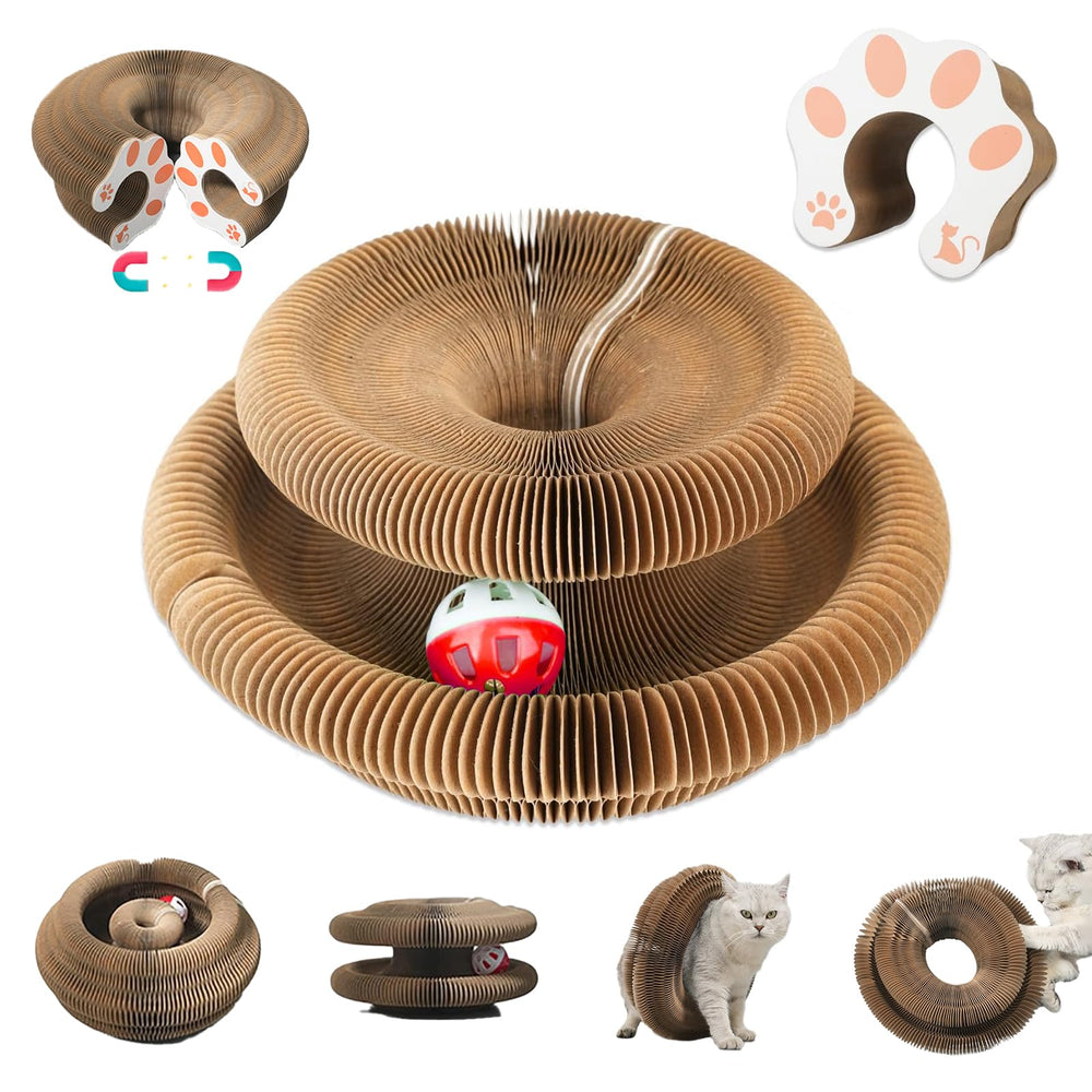 Jouet Kitty Curls de liluwushe: organ magique pour chats, stimulation et exercice.