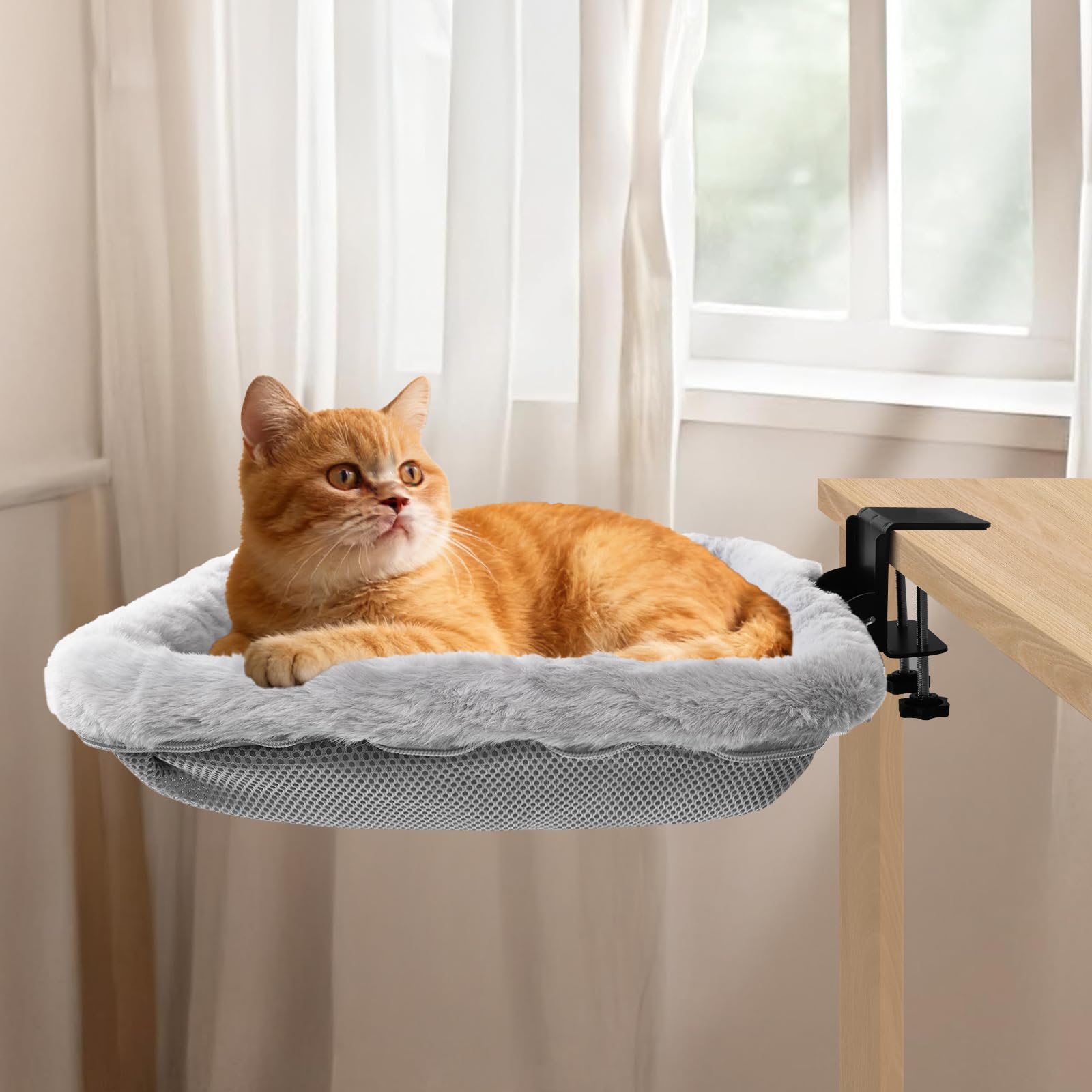 Lilyang Lit de Bureau pour Chat : pince-stable pour fixation solide sur le bord.