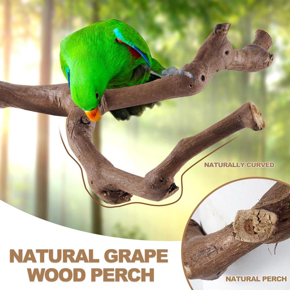 LIMIO fourchettes-pattes offrent un meulage naturel des griffes et exercice quotidien