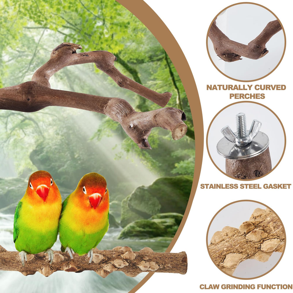 LIMIO support-oiseaux bois naturel assure une plate-forme stable dans la cage