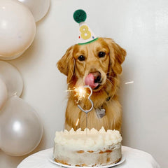 LINGANA chapeau anniversaire animal – matieres douces et fibres feutrine pour le confort.