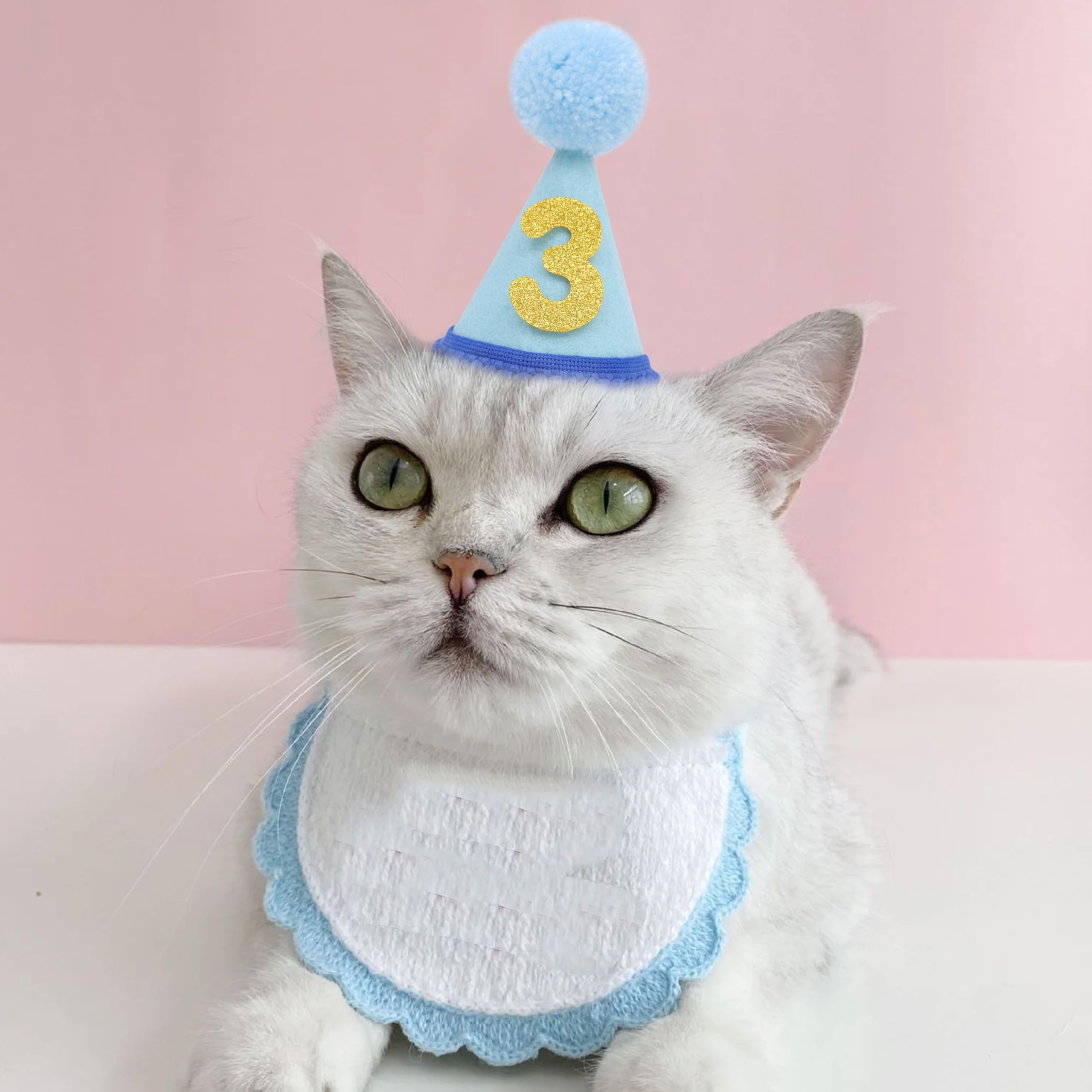 LINGANA chapeau anniversaire animaux bleu – élastique pour un maintien sûr et confortable.