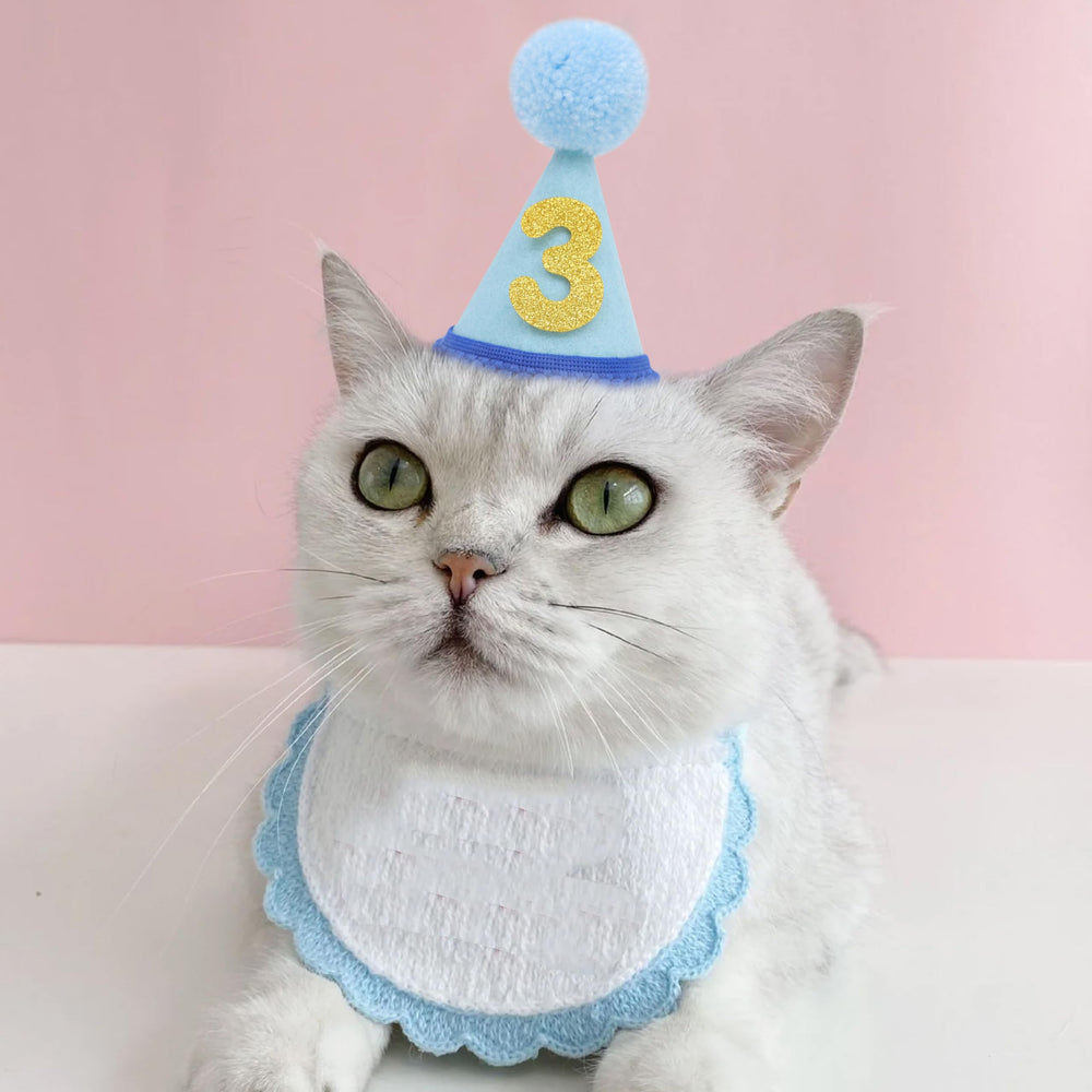 LINGANA chapeau anniversaire animaux bleu – élastique pour un maintien sûr et confortable.