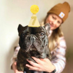 LINGANA chapeau pour chiens et chats, convient à diverses tailles.