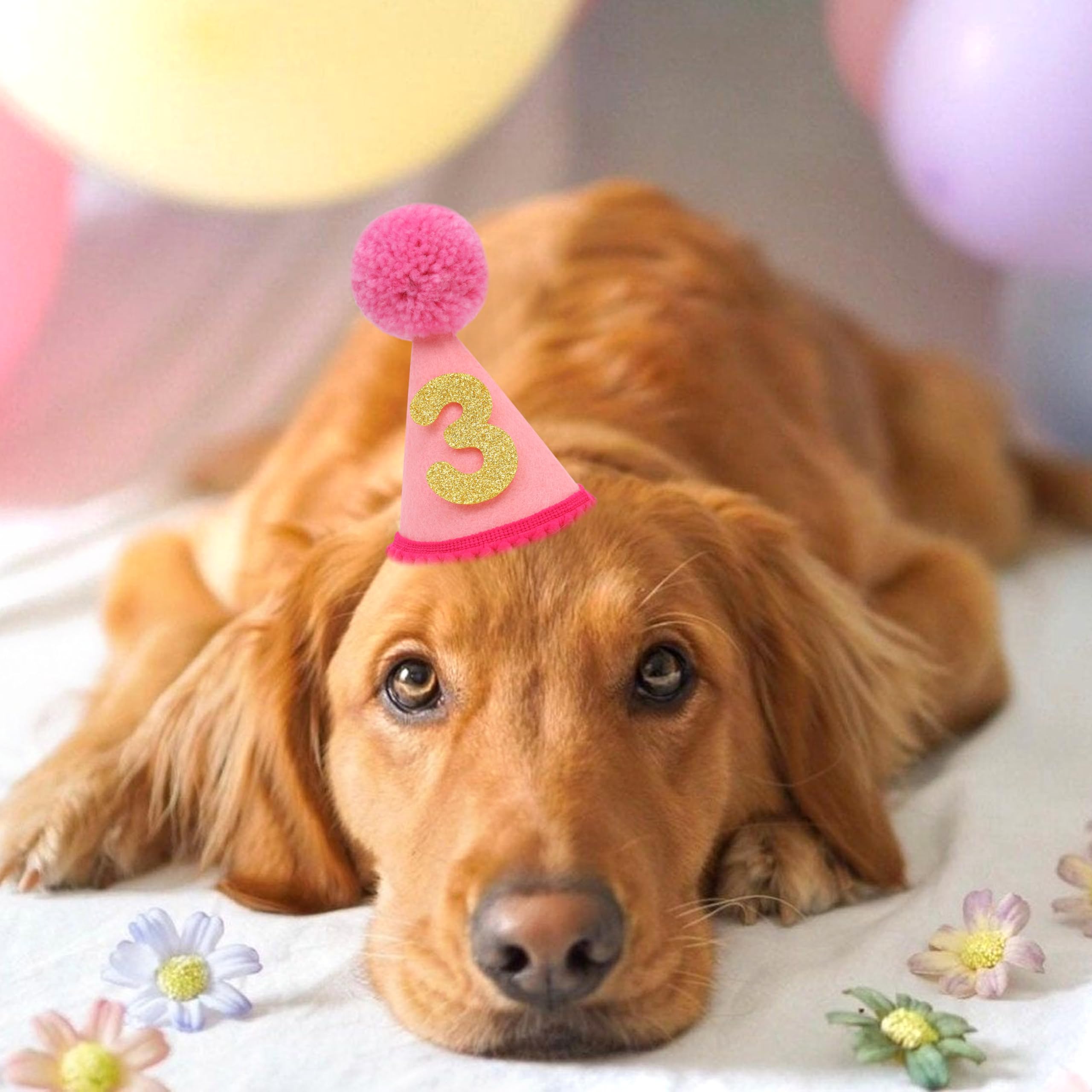 Chapeau Lingana matériaux doux pour le confort des animaux.