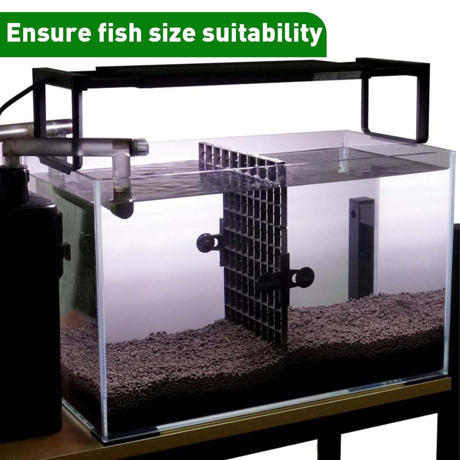 LINLAN système polyvalent, compatible avec diverses options de filtration et décor aquascaping.