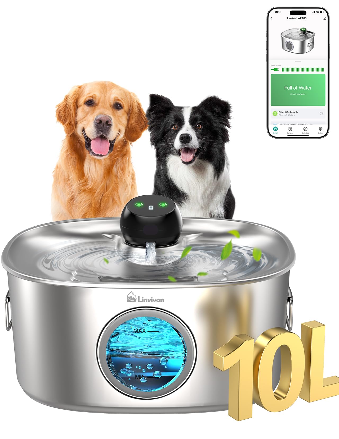 Linvivon fontaine-eau-chien-10l, grande capacité idéale pour chiens actifs.