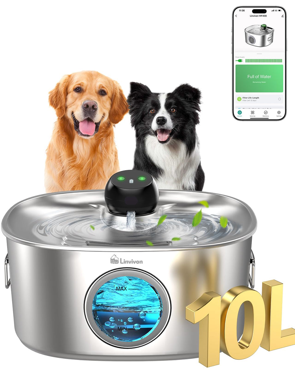 Linvivon fontaine-eau-chien-10l, grande capacité idéale pour chiens actifs.