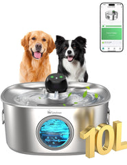 Linvivon fontaine-eau-chien-10l, grande capacité idéale pour chiens actifs.