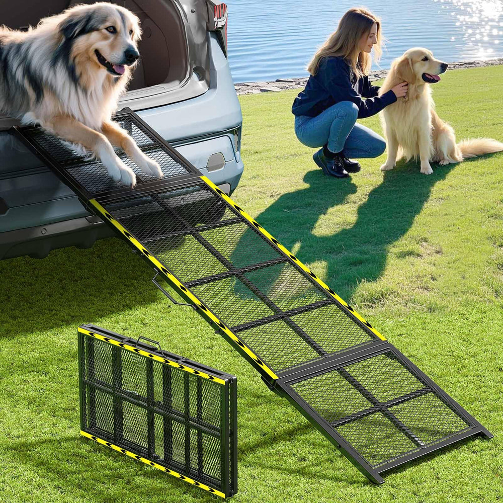 Rampe Linvivon pour chien de 74x20 pouces facilitant les déplacements en voiture