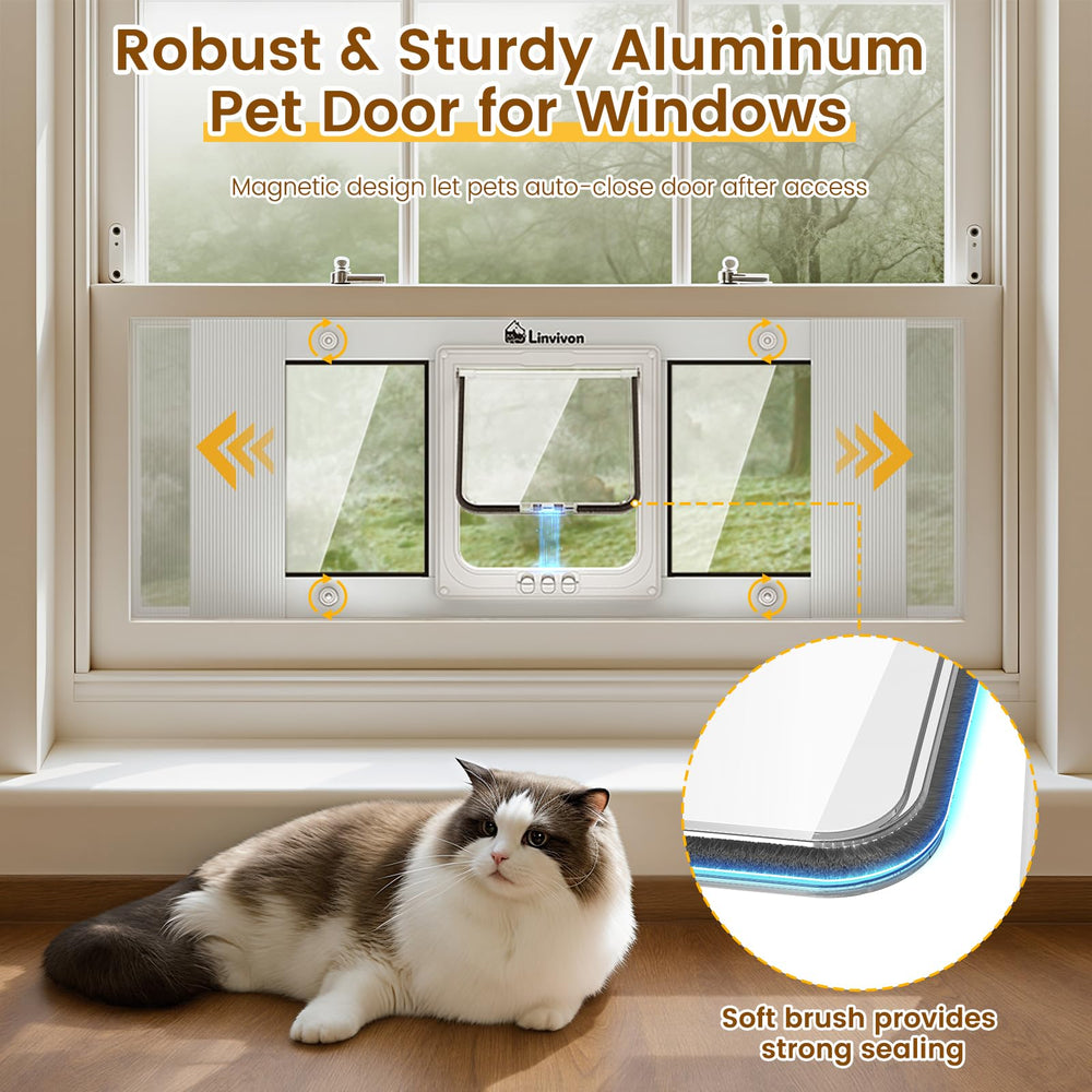 Linvivon verre haute définition: vue claire pour le chat