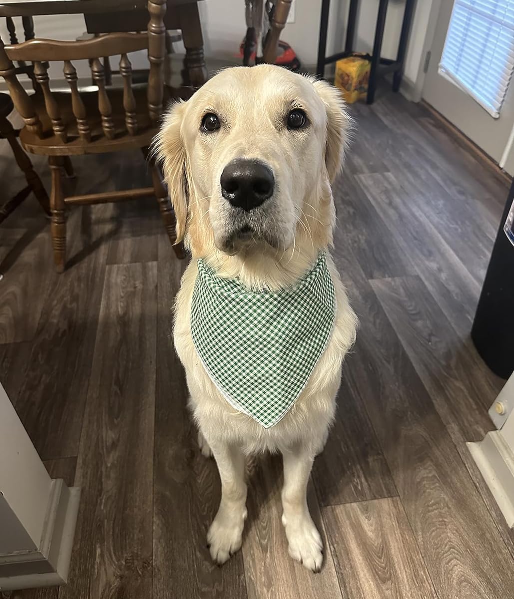 Bandana Lionet Paws pour chien taille L, parfait pour sorties.